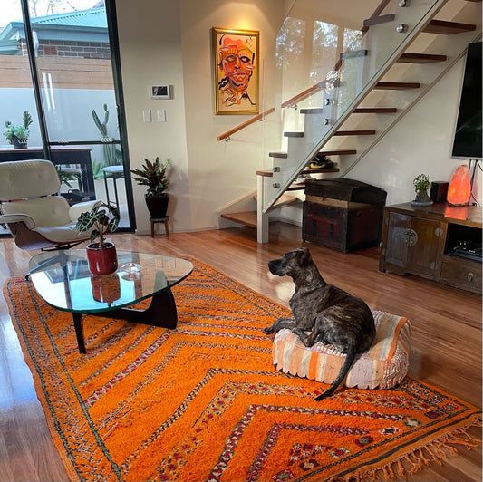 Unlock Your Living Room’s Potential with Moroccan Rugs Today !