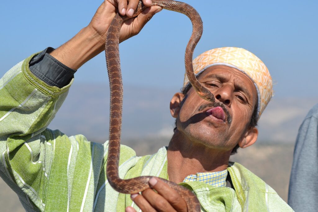 Cultural event in Morocco reflecting African and Arab heritage